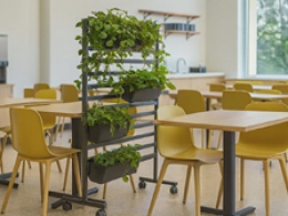 Spalliera autostabile su ruote  - cm 130x160h