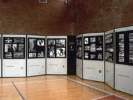 Pannello espositivo CLIPPER LEGGERO - cm 65x200h 